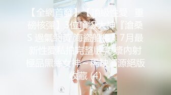 精品人妻系列无码专区