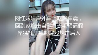 网红妹妹户外车上吃屌车震，回到家炮击自慰，无毛骚逼假屌猛插，翘起屁股炮击后入