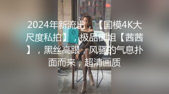 2024年新流出，【国模4K大尺度私拍】，极品御姐【茜茜】，黑丝高跟，风骚的气息扑面而来，超清画质