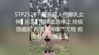 STP25107 最新超人气爆乳女神▌乐乐▌电梯紧急停止 终极隐藏版 再遇女神爆艹尤物 痴汉电车激情上演