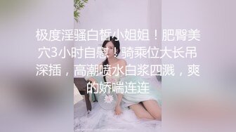 极度淫骚白皙小姐姐！肥臀美穴3小时自慰！骑乘位大长吊深插，高潮喷水白浆四溅，爽的娇喘连连