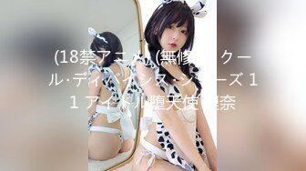 (18禁アニメ) (無修正) クール･ディバイシス･シリーズ 11 アイドル堕天使 理奈