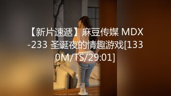 【新片速遞】麻豆传媒 MDX-233 圣诞夜的情趣游戏[1330M/TS/29:01]