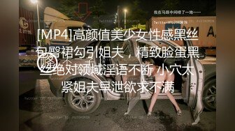 [MP4]高颜值美少女性感黑丝包臀裙勾引姐夫，精致脸蛋黑丝绝对领域淫语不断 小穴太紧姐夫早泄欲求不满