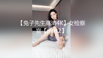 【兔子先生高清4K】女检察官【part2】