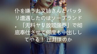 仆を嫌うお义姉さんとバッタリ遭遇したのはソープランド。「无料ヤリ放题强要」で彻底奉仕させて何度も中出ししてやる！ 辻井ほのか