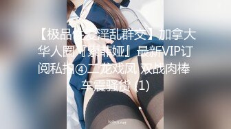 【极品性爱淫乱群交】加拿大华人圈『索菲娅』最新VIP订阅私拍④二龙戏凤 双战肉棒 车震骚货 (1)