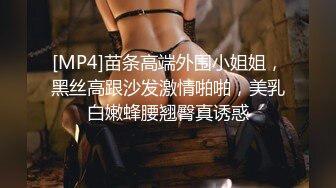 [MP4]苗条高端外围小姐姐，黑丝高跟沙发激情啪啪，美乳白嫩蜂腰翘臀真诱惑