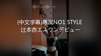 (中文字幕)専属NO1 STYLE 辻本杏エスワンデビュー