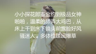 小小探花郎重金约到极品女神啪啪，温柔的舔弄大鸡巴，从床上干到床下镜头前露脸好风骚迷人，多体位蹂躏爆草