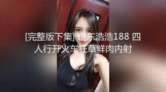 [完整版下集] 山东浩浩188 四人行开火车狂草鲜肉内射